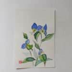 item5